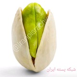 💚شبکه پسته ایران💚 💚شبکه پسته ایران💚