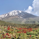 صعود؛ اخبار کوهنوردی و صعودهای ورزشی صعود؛ اخبار کوهنوردی و صعودهای ورزشی