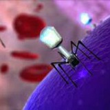 🔊 Biology Channel 🐸 🔊 Biology Channel 🐸