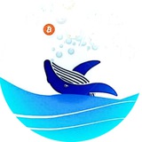 Altcoin Whales Altcoin Whales