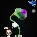 🧠 Psicanálise & Você 🎭 Oficial 🧠 Psicanálise & Você 🎭 Oficial
