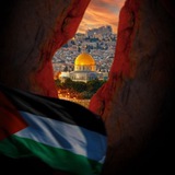 "فضل لاحول ولا قوة الا بالله🌿💛" "فضل لاحول ولا قوة الا بالله🌿💛"