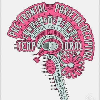 Neuroscience and Psychology Neuroscience and Psychology