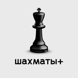 Шахматы + Шахматы +