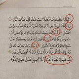 رحمـةٌواسِعـَة رحمـةٌواسِعـَة