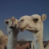 هيـــاء. هيـــاء.