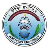 Wachemo University Wachemo University