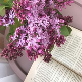 𝙆𝒊𝒕𝒂𝒃𝒍𝒂𝒓𝒅𝒂𝒏 𝒂𝒍𝒊𝒏𝒕𝒊𝒍𝒂𝒓📚☀️ 𝙆𝒊𝒕𝒂𝒃𝒍𝒂𝒓𝒅𝒂𝒏 𝒂𝒍𝒊𝒏𝒕𝒊𝒍𝒂𝒓📚☀️
