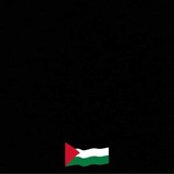 الشاهيـن الشاهيـن
