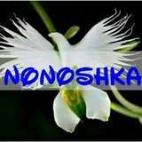 🌺@No_Noshka🌺 🌺@No_Noshka🌺