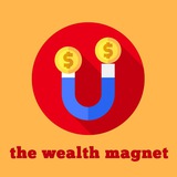 The Wealth Magnet The Wealth Magnet