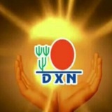 عناوين وفواتير شركة DXN عناوين وفواتير شركة DXN