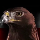 GlobalPatriots GlobalPatriots