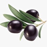 Jamun Satta King Jamun Satta King