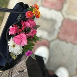 شـــغف فـتاة 🤍✨ شـــغف فـتاة 🤍✨