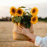🍁رویای مهر🍁 🍁رویای مهر🍁