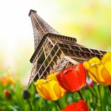 Apprendre le Français Apprendre le Français