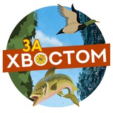 За Хвостом За Хвостом