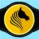 Молдавская политика Молдавская политика