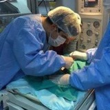 Tahtakuşlar Tahtakuşlar