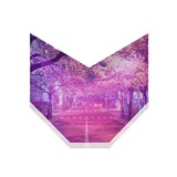 CryptoNekoZ Journal CryptoNekoZ Journal