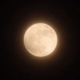 MOON MOON