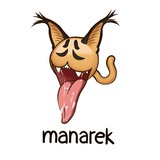 manarek manarek
