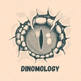 Dinomology Crypto-FX Dinomology Crypto-FX