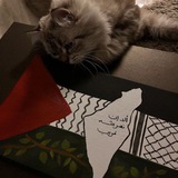 ⤶أثـر طـيـب ⊁ 🤎 ⤶أثـر طـيـب ⊁ 🤎