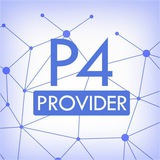P4 Provider P4 Provider