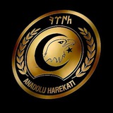Anadolu Harekâtı Anadolu Harekâtı