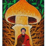🍄 مجیک ماشروم ، آگاهی ، بیداری 🍄 🍄 مجیک ماشروم ، آگاهی ، بیداری 🍄