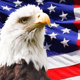 All About USA 🇺🇸 All About USA 🇺🇸