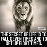 Quotes Hub Quotes Hub
