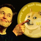 Dogecoin Crypto | Token Dogecoin Crypto | Token