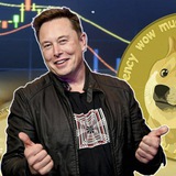 Crypto Musk Crypto Musk
