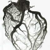 Endovascular.team Endovascular.team