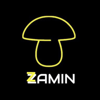 Zamin Podcast Zamin Podcast