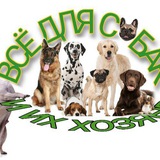 Пошив одежды для собак 🐶 | Одежда для собак Пошив одежды для собак 🐶 | Одежда для собак
