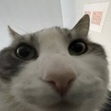 MyChannel MyChannel