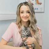 Vet_alisa ветеринарный врач, онлайн консультации Vet_alisa ветеринарный врач, онлайн консультации