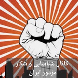کانال محرمانه شناسایی و شکار مزدور ایران کانال محرمانه شناسایی و شکار مزدور ایران