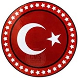 Первый турецкий Первый турецкий