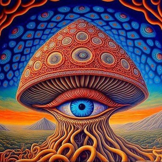 13👁️psy 13👁️psy