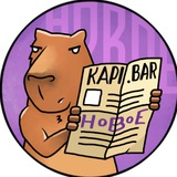 Капибара Новое Капибара Новое