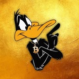DAFFY TRADER DAFFY TRADER