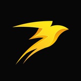 Storm Trade | News ⚡️ Storm Trade | News ⚡️