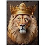 ASLAN BORSA 🦁 ASLAN BORSA 🦁