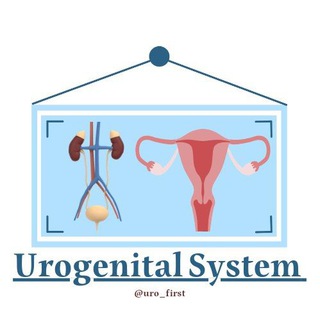 Urogenital System Urogenital System