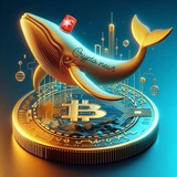 Crypto News Crypto News